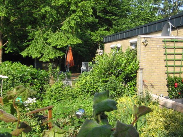 Ferienhaus "Pusteblume" Bad Zwischenahn Dış mekan fotoğraf